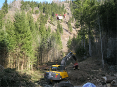 vs-schutzwaldsanierung-2012-19