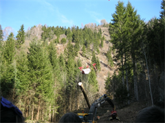 vs-schutzwaldsanierung-2012-16