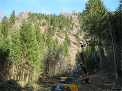 vs-schutzwaldsanierung-2012-15