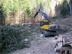 vs-schutzwaldsanierung-2012-12