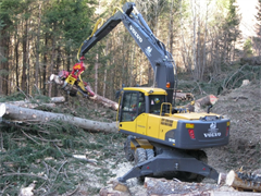 vs-schutzwaldsanierung-2012-08