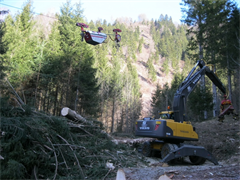 vs-schutzwaldsanierung-2012-07