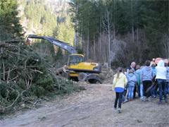 vs-schutzwaldsanierung-2012-03