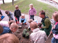 Kindergarten_Pflanzen_setzen_04