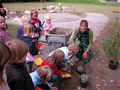 Kindergarten_Pflanzen_setzen_02